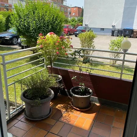 Blume Friedrichshafen